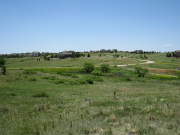 Road Leading to Site
