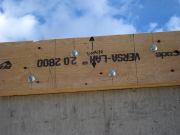 Bolts have to Miss Hangers, Joists have to Miss Drains