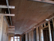 Ellipse Ceiling in Hallway  