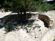 Round stone wall around west tree