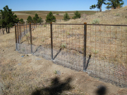 Fenced run will give the dogs plenty of room to roam
