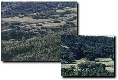 Castle Park Ranch