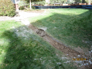 Fence, rocks, & footings are removed