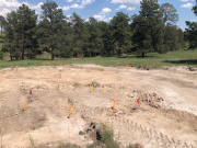 House & shop staked for excavation