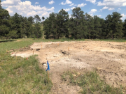 House & shop staked for excavation