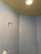 Denshield in master shower