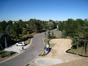 View of Hawaii Lane from roof
