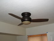 New ceiling fan in guest bedroom