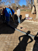 Placing concrete around tree root drains