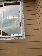 Window sealed to the drainage plane